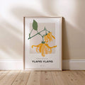 Ylang Ylang Bloemen