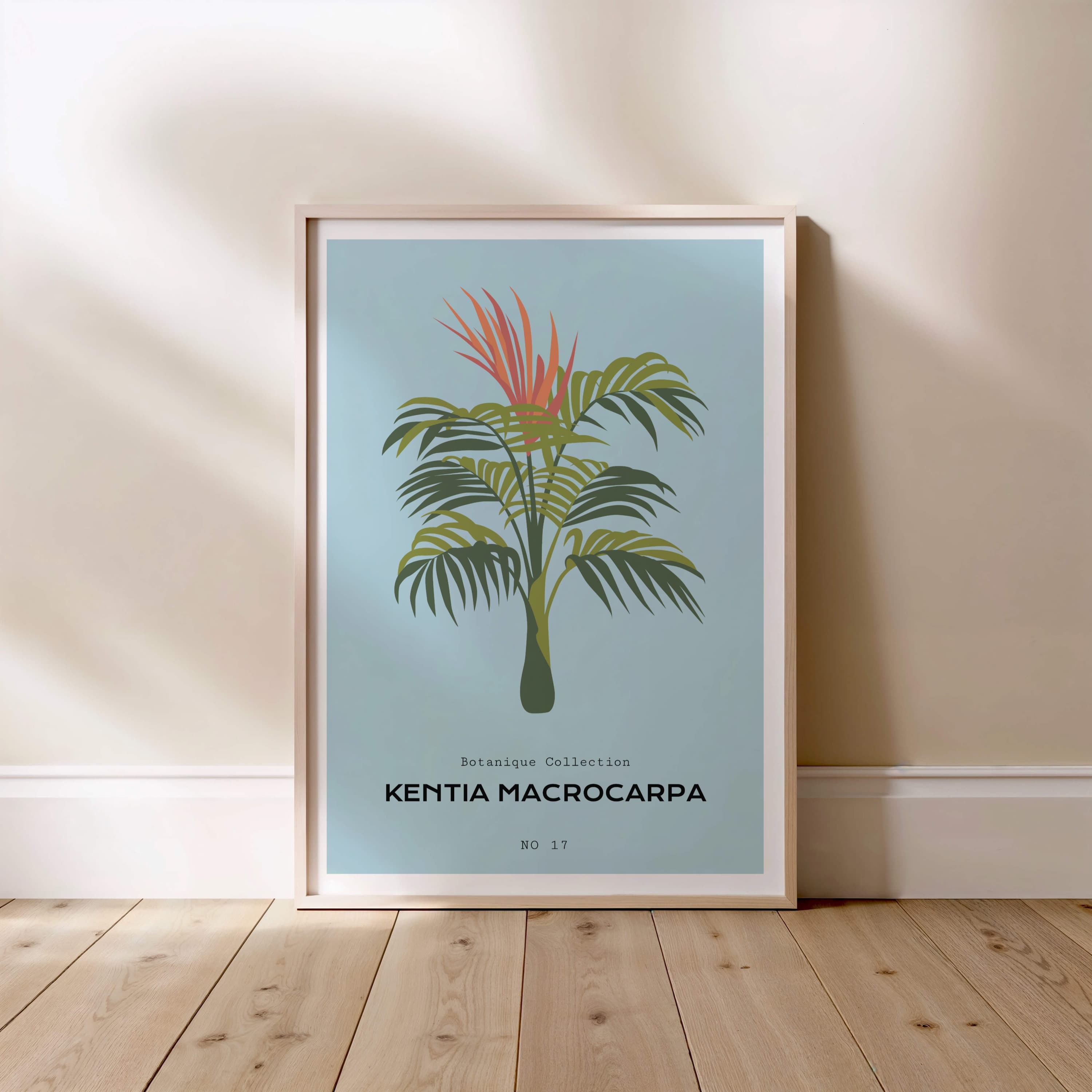 Kentia Macrocarpa