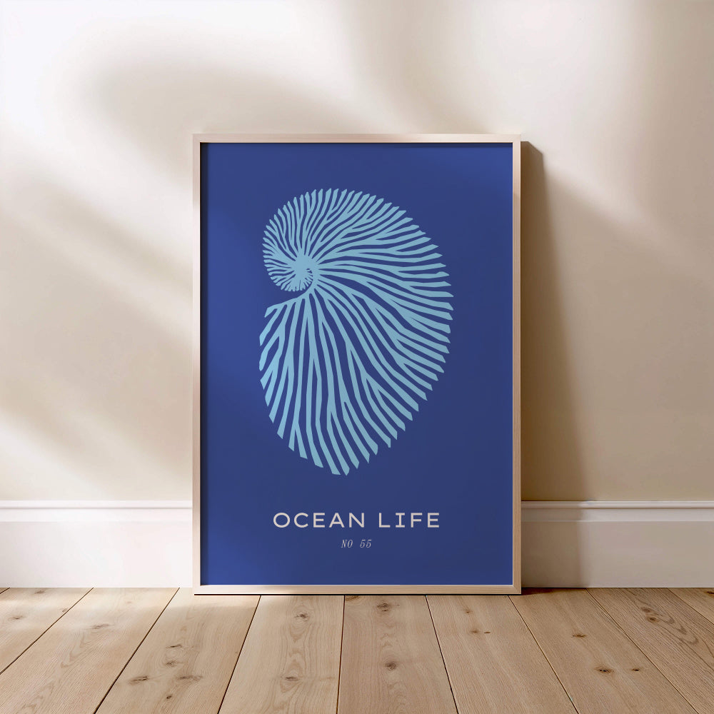 Nautilus Ocean Life