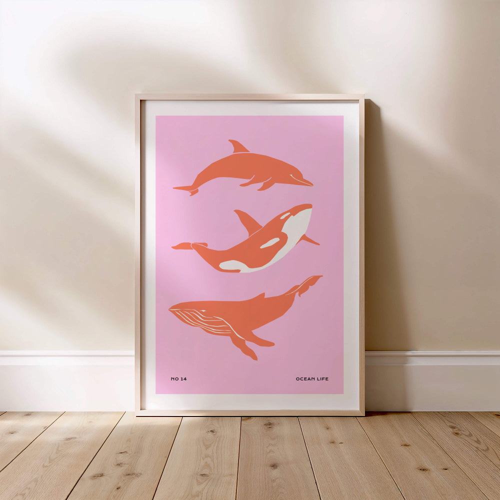 Walvissen Ocean Life