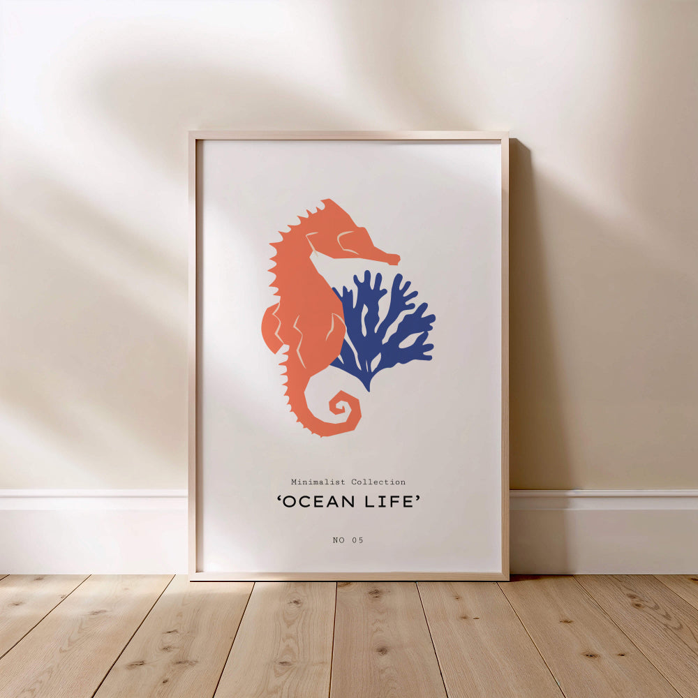 Zeepaardje Ocean Life