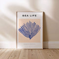 Sea Life Koraal